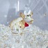 SCS - Christmas Ball Ornament - Annual Edition 2026