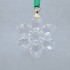 Swarovski Annual Edition Ornament Set 2026 crystal snowflakes 5732527