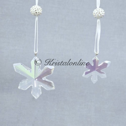 Ice Flowers