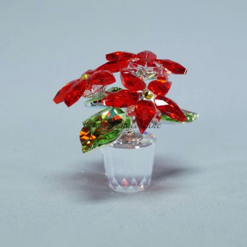 Poinsettia Siam - without box and cert.