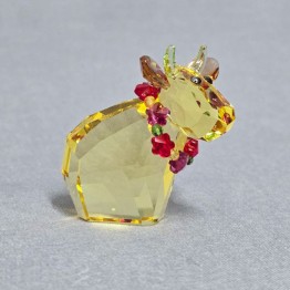 Sunshine Mo - Limited Edition 2011