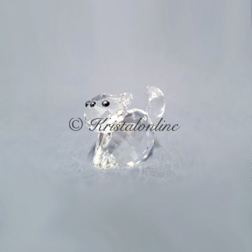 Lil of Bling - Cat