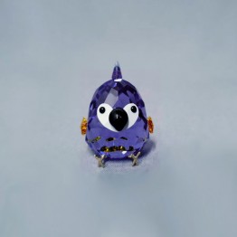 Purple Macaw