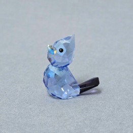Justin - Bird