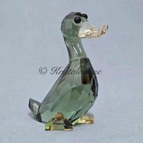 Duke - Duck