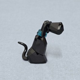 Salvator - Dog