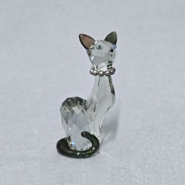 Ines - Cat