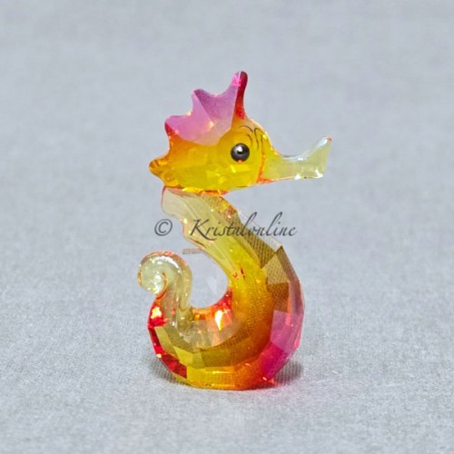 Gina - Seahorse