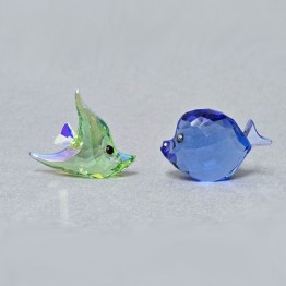 Shelly & Sam - Fish