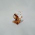 Swarovski Crystal | Lovlots | Baby Animals | Cheeky the Monkey | 5619227