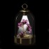 Swarovski Crystal | Garden Tales | LED Lantern - Hibiscus | 5619240