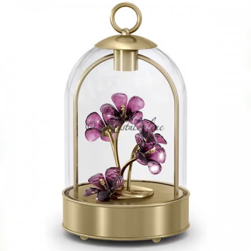 Swarovski Crystal | Garden Tales | LED Lantern - Hibiscus | 5619240