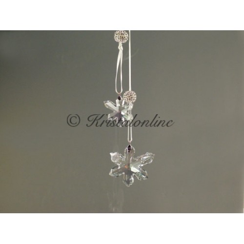 Ice Flowers