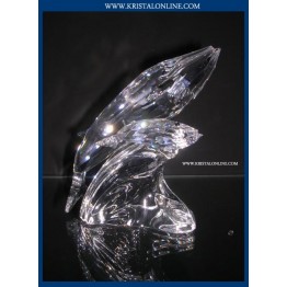 SCS - Annual Edition 1992 - Whales