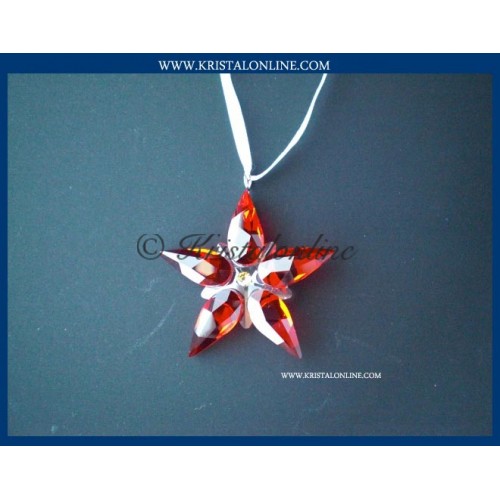 Kerstster ornament 2007 klein
