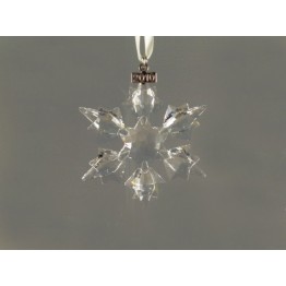 Christmas Ornament - Annual Edition 2010