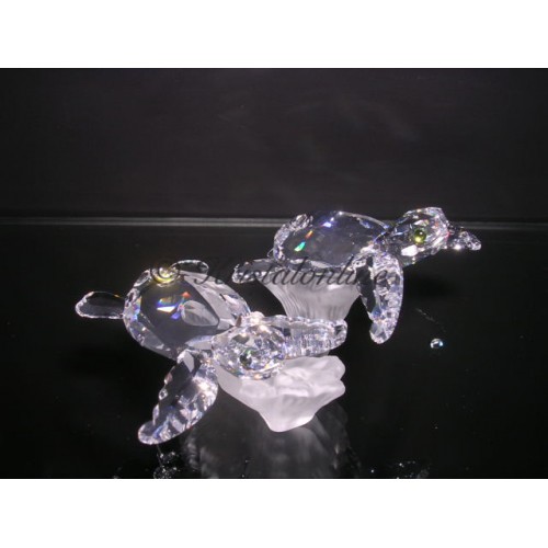 Baby Sea Turtles