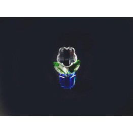 Flower Clear - Small - without box cover