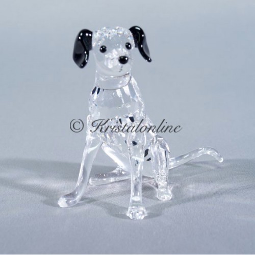 Dalmatian Mother