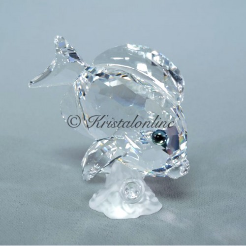 2007 Blue Tang Fish clear - without box and cert.