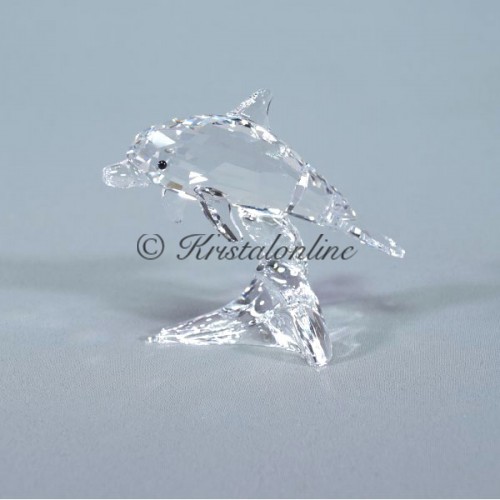 Dolphin baby, 2014