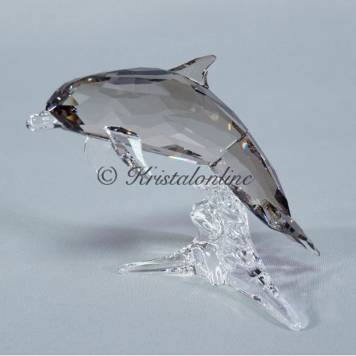 Dolphin Mother 2014 