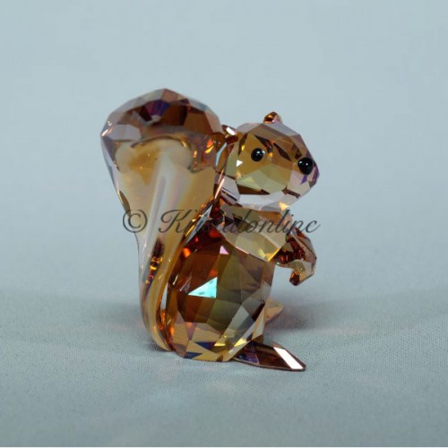 Squirrel Copper