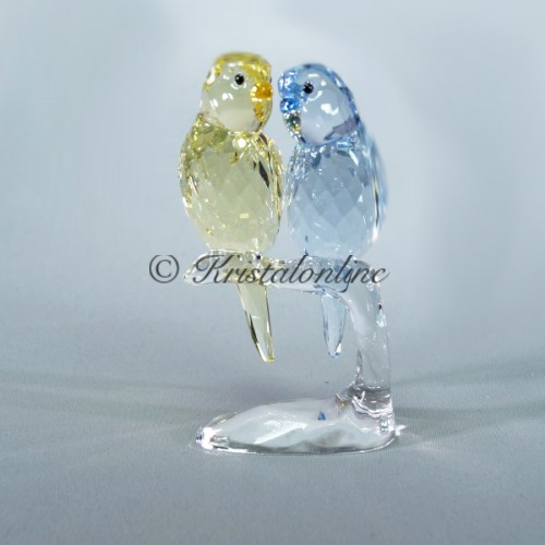 Budgies - 2014