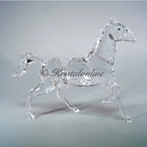 Stallion