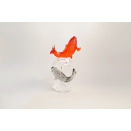 Carp - Admirable Fish