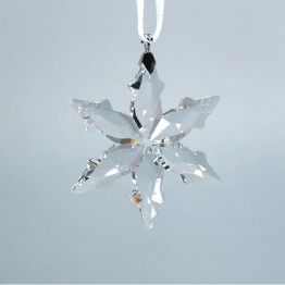 Snowflake little star 2015