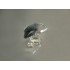 SCS - Annual Edition 2012 - Young Whale - without box cover
