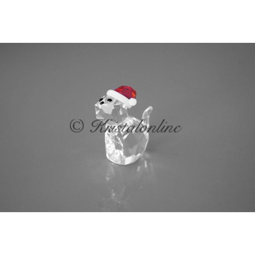 Cat with Santa's Hat