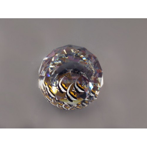 SCS - Paperweight 2007 - Community (large)