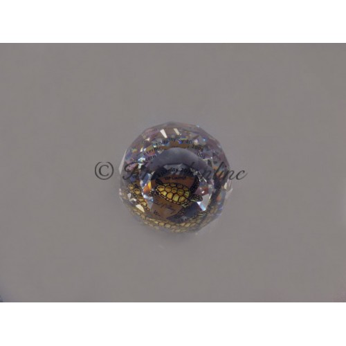 SCS - Paperweight 2006 - Eternity (small)
