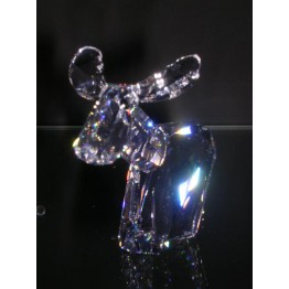 Ricci - Moose