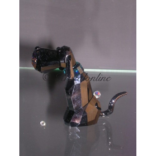 Salvator - Dog