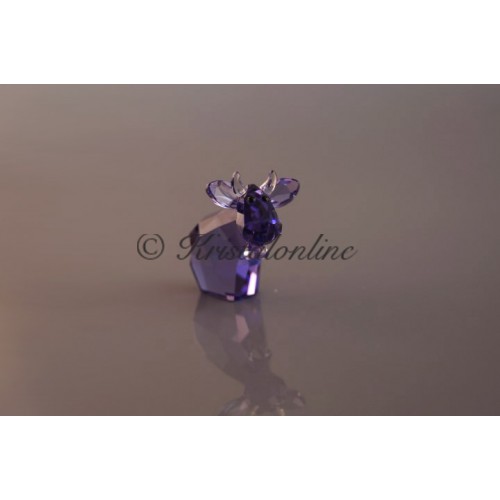 Mini Mo - Blue Violet - Limited Edition 2015