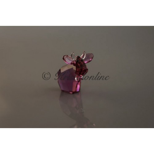 Mini Mo - Intense Fuchsia - Limited Edition 2015