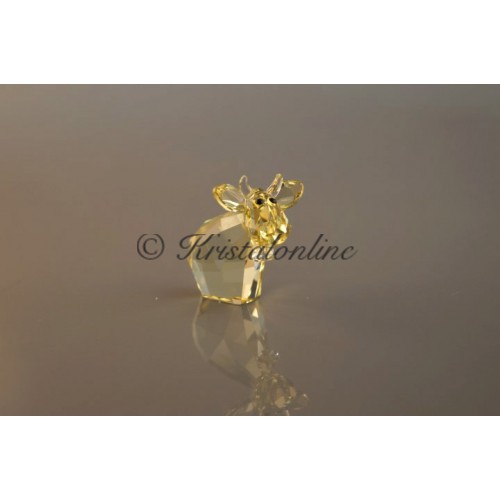 Mini Mo - Tender Yellow - Limited Edition 2015