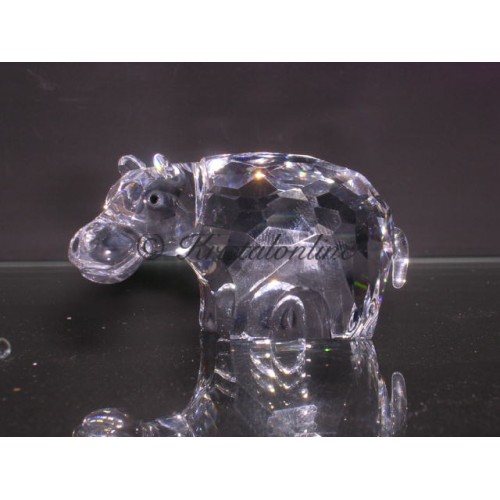 Hippo
