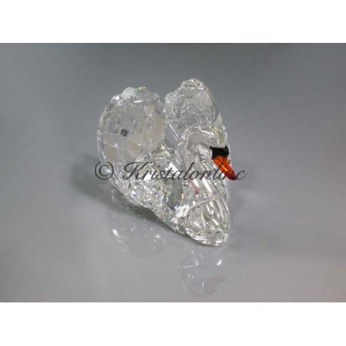 Sparkling Swan