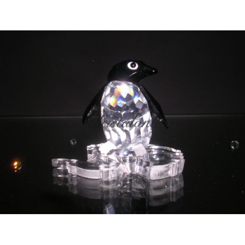 Madam penguin