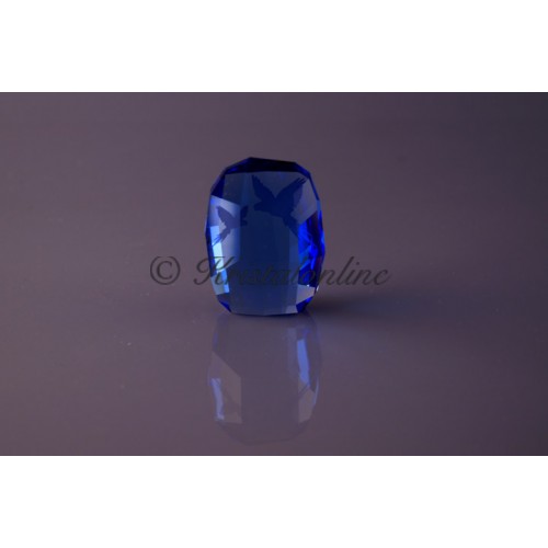 SCS - 2014 Hycinth Macaws Paperweight 