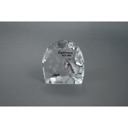2014 Paperweight Esperanza