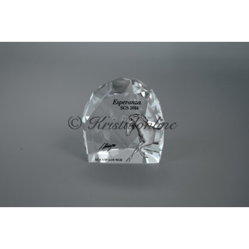 2014 Paperweight Esperanza