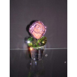Rose Pink - Medium