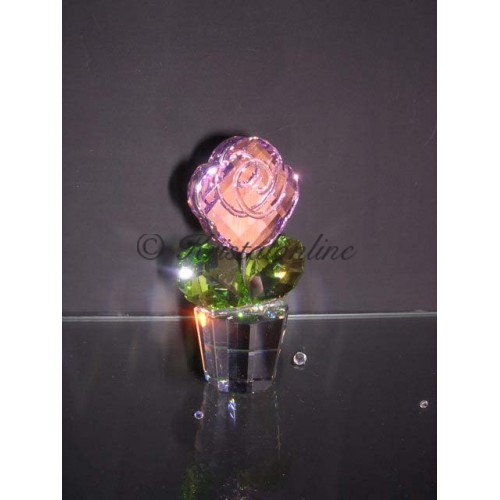 Rose Pink - Medium