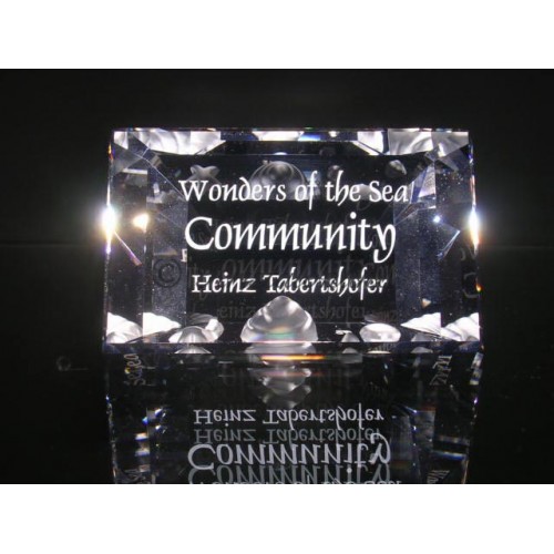 Title Plaque 2007 Community