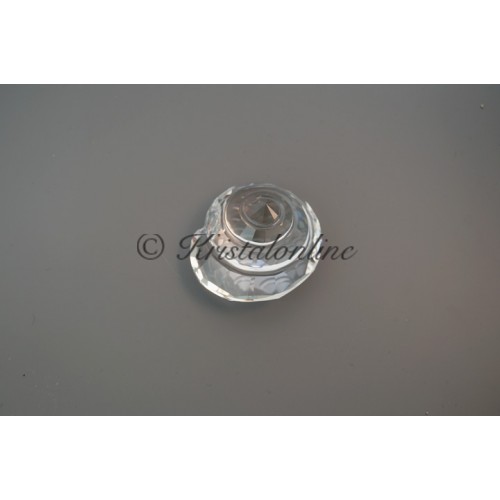 2007 Scallop